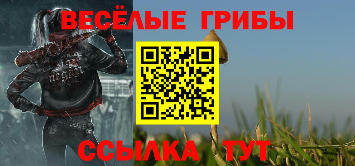 Лесной  Галлюциногенные грибы GOLDEN TEACHER  Вход с VPN  Галлюциногенные грибы прущие грибы 