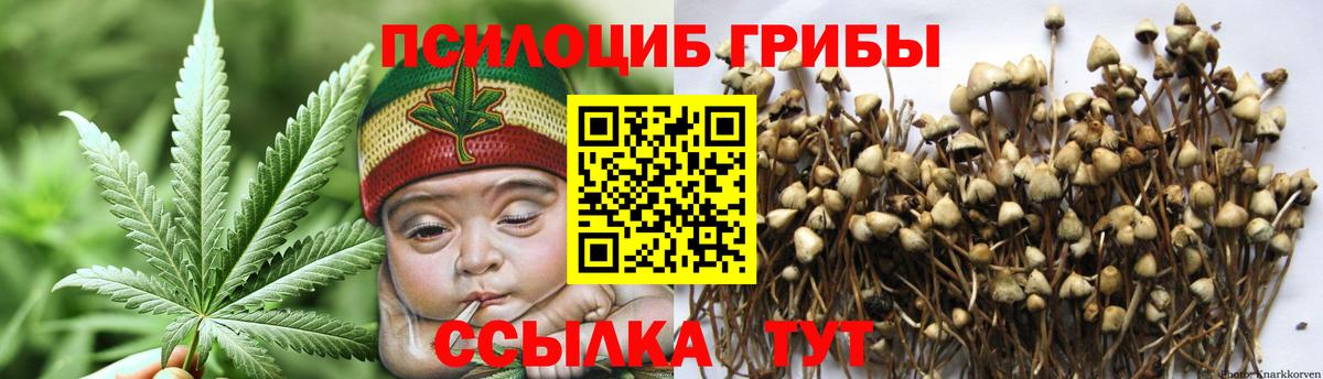 Псилоцибиновые грибы прущие грибы Лесной